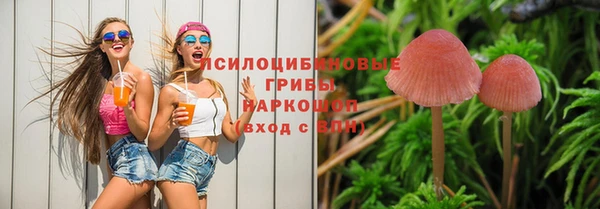 spice Арсеньев