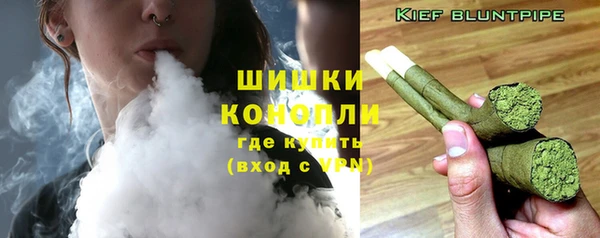 spice Арсеньев