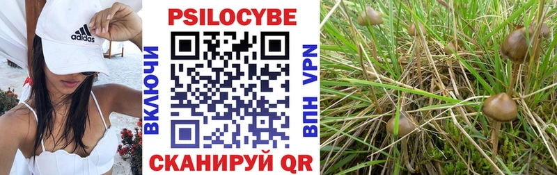 Псилоцибиновые грибы GOLDEN TEACHER  Морозовск 