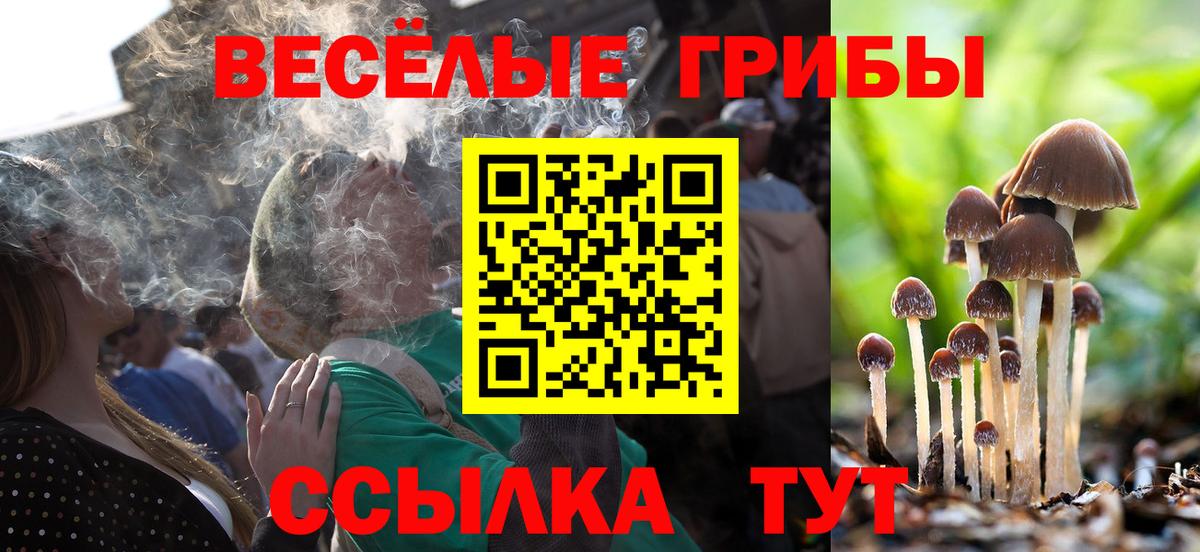 цена наркотик  Псилоцибиновые грибы мицелий  Вход с VPN  Галлюциногенные грибы ЛСД  Морозовск 